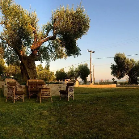 Crown 3* Nea Skioni