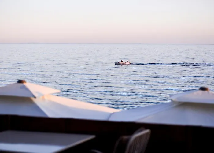 Crown 尼尔斯吉尼