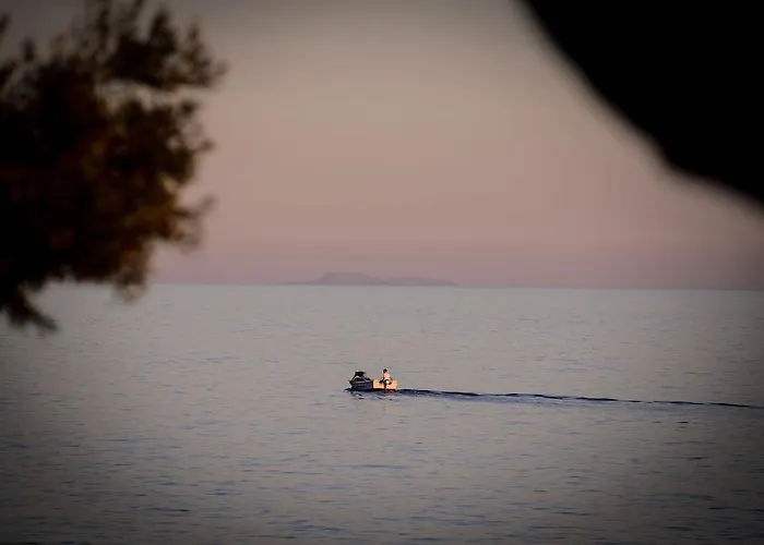 Crown 3* 尼尔斯吉尼