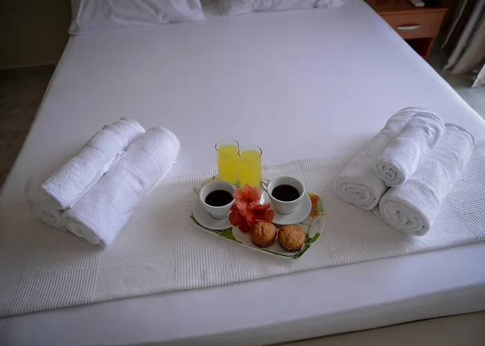 Crown 尼尔斯吉尼