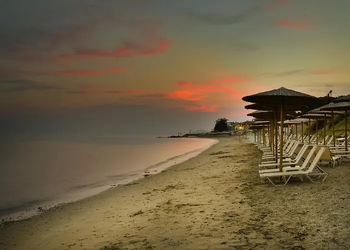 Crown 尼尔斯吉尼